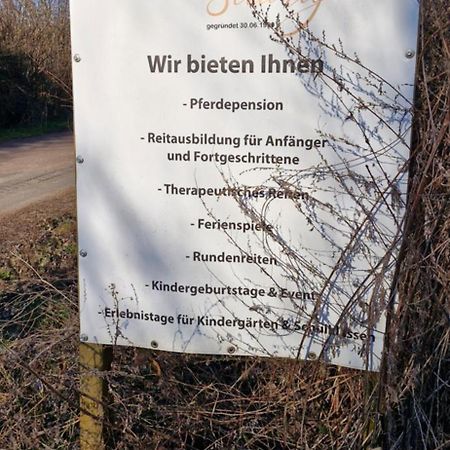 Ferienwohnung Halle/Lettin Halle  ภายนอก รูปภาพ