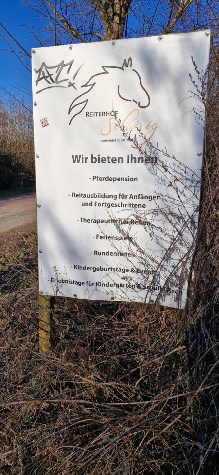 Ferienwohnung Halle/Lettin Halle  ภายนอก รูปภาพ